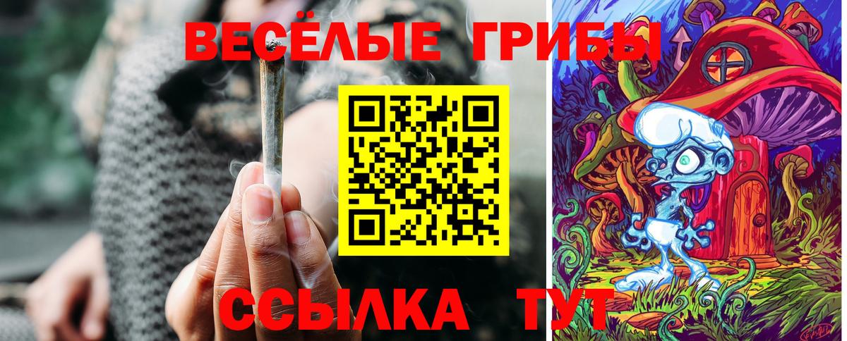 Галлюциногенные грибы прущие грибы  Псилоцибиновые грибы GOLDEN TEACHER  Бутурлиновка  Вход с VPN 